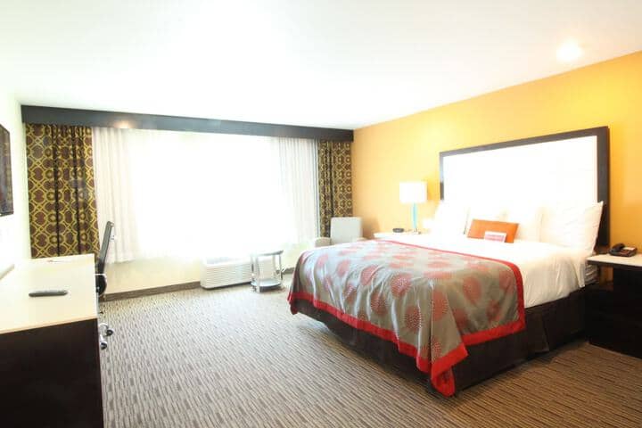 Room 4 of 47